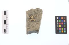 Foto von Gold (NHMW-MIN-Ai646)